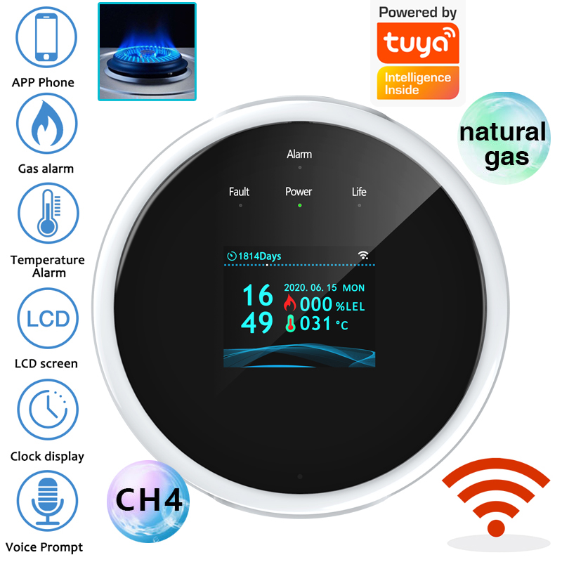 Sensor de Alarme de Gás WiFi 2 - Home Security Gadgets avaliação e preço