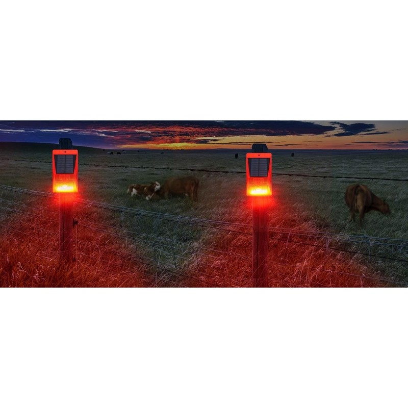 Luz de alarme solar com sensor - Home Security Lights avaliação e preço